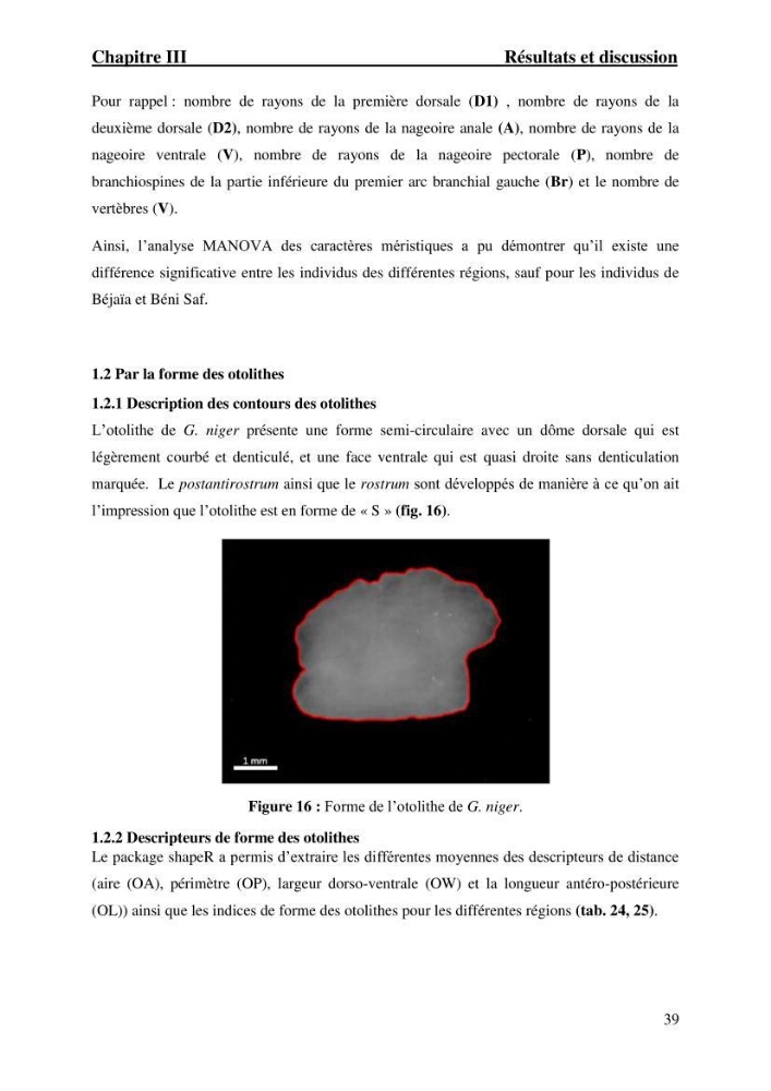 Contribution à l’étude du gobie noir Gobius niger L., 1785 (Actinopterygii, Gobiiformes) de la côte algérienne : dynamique des populations.