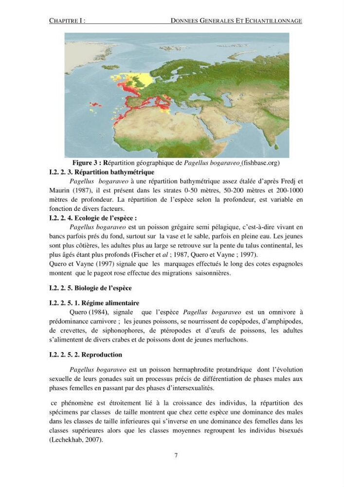 Le gros yeux, Pagellus bogaraveo ( Brûnnich, 1768) de la région centre: les peuplements associés,la croissance et l\'exploitation