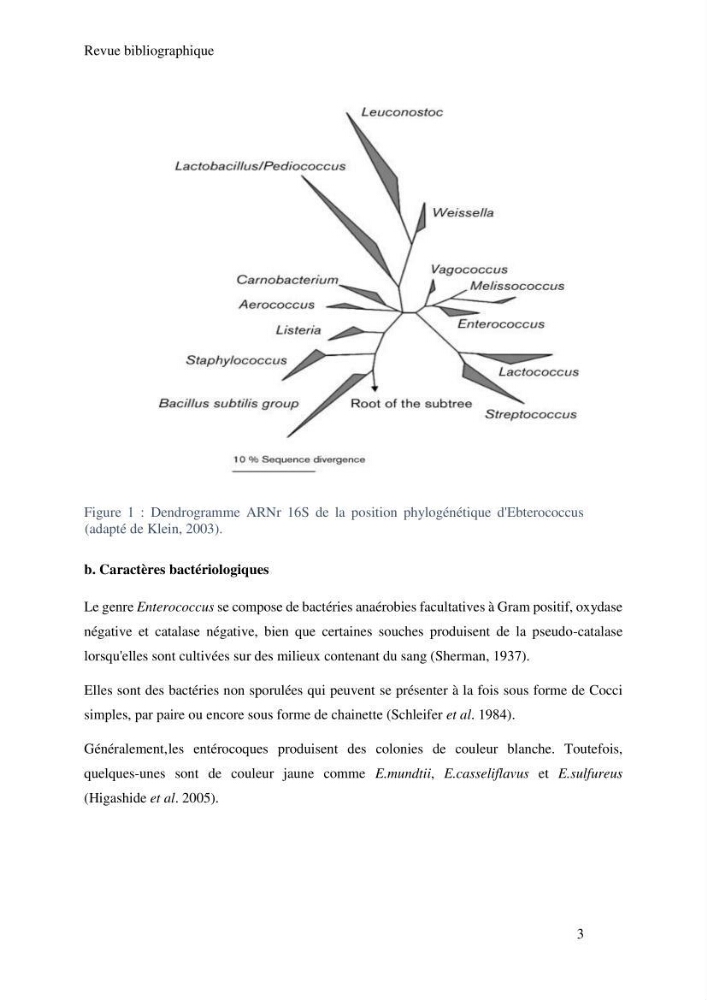 Caractérisation et évaluation de la résistance aux antibiotiques chez les entérocoques sp isolés dans le milieu marin: