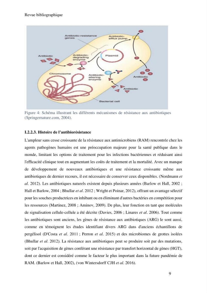 Caractérisation et évaluation de la résistance aux antibiotiques chez les entérocoques sp isolés dans le milieu marin: