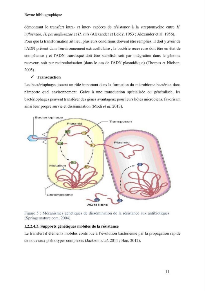 Caractérisation et évaluation de la résistance aux antibiotiques chez les entérocoques sp isolés dans le milieu marin: