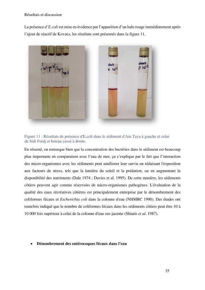 Caractérisation et évaluation de la résistance aux antibiotiques chez les entérocoques sp isolés dans le milieu marin:
