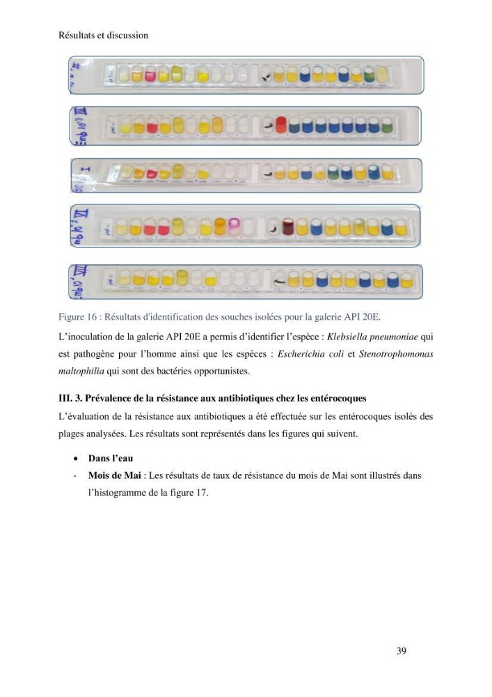 Caractérisation et évaluation de la résistance aux antibiotiques chez les entérocoques sp isolés dans le milieu marin: