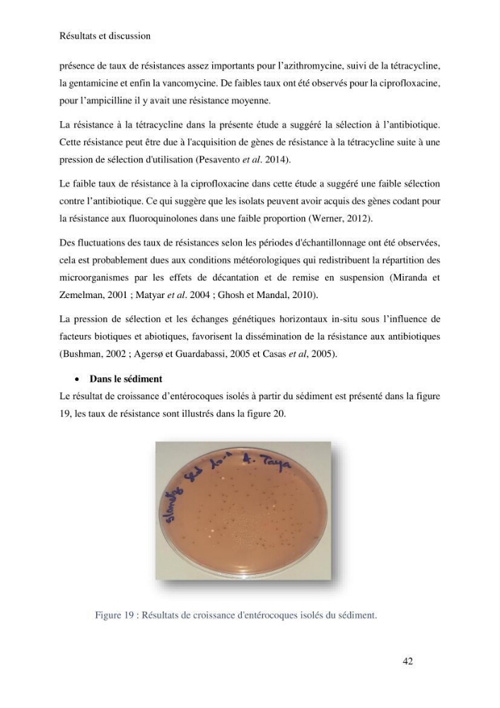 Caractérisation et évaluation de la résistance aux antibiotiques chez les entérocoques sp isolés dans le milieu marin: