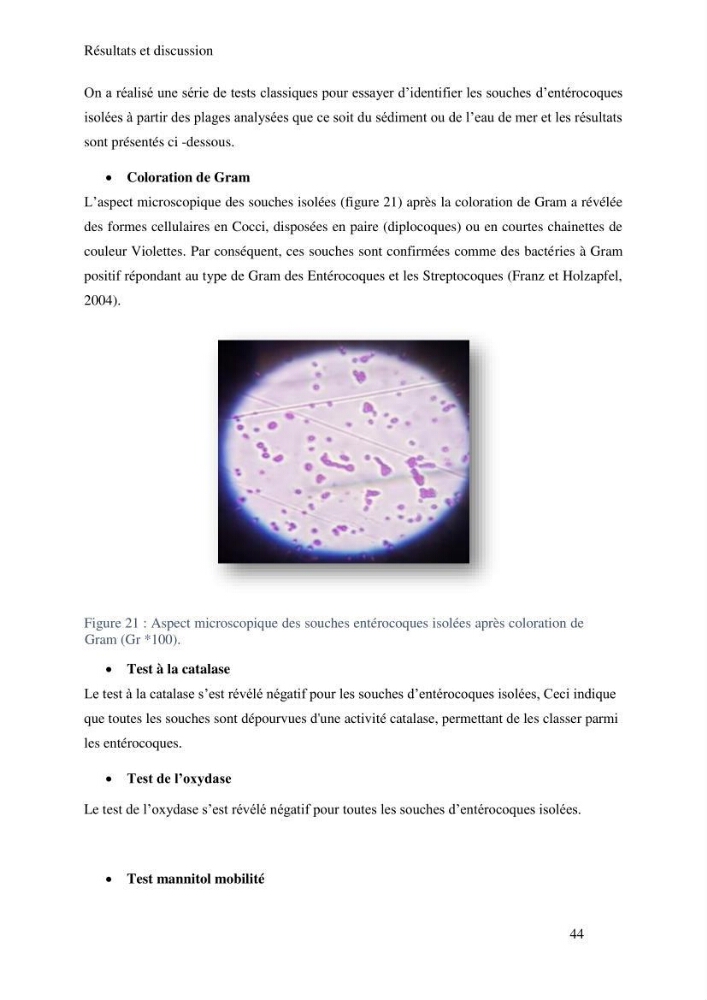 Caractérisation et évaluation de la résistance aux antibiotiques chez les entérocoques sp isolés dans le milieu marin: