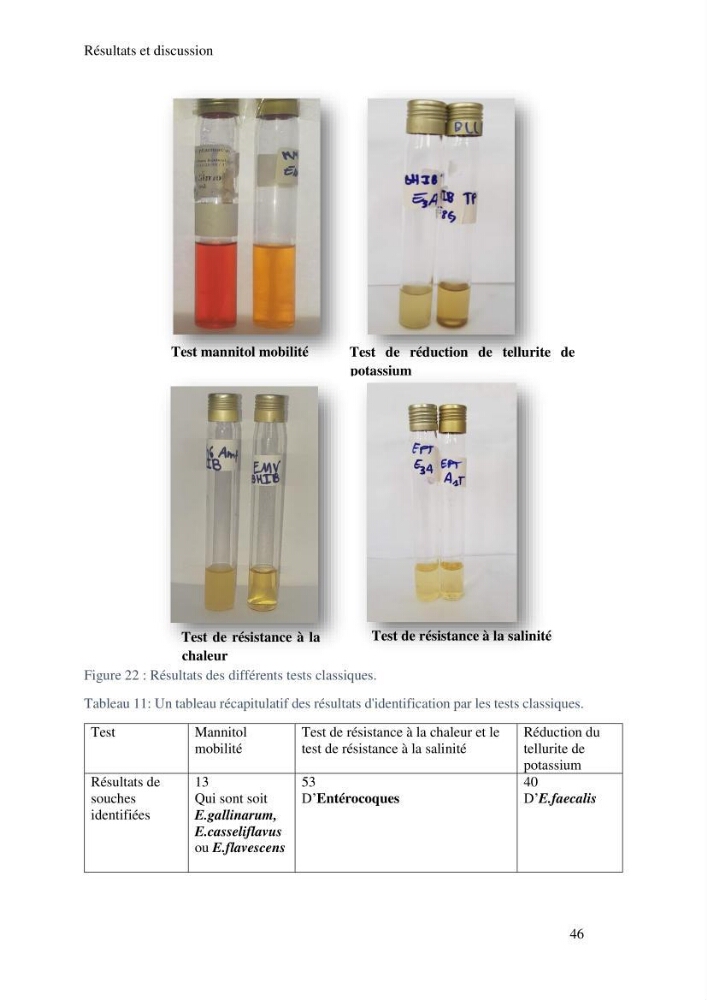 Caractérisation et évaluation de la résistance aux antibiotiques chez les entérocoques sp isolés dans le milieu marin: