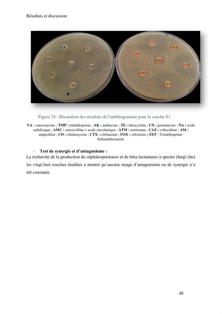 Caractérisation et évaluation de la résistance aux antibiotiques chez les entérocoques sp isolés dans le milieu marin: