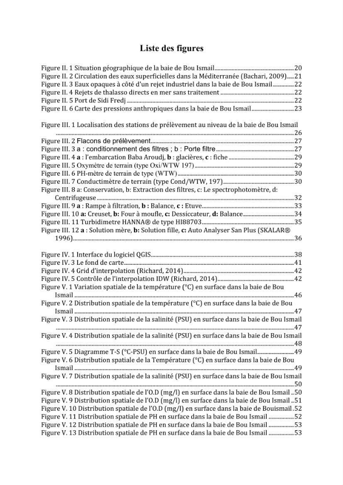 Utilisation des Systèmes d\'Information Géographiques pour le suivi des paramètres indicateurs de pollution dans la baie de Bou-Ismail: