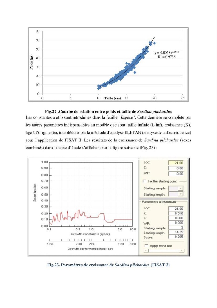 Economie des pêches