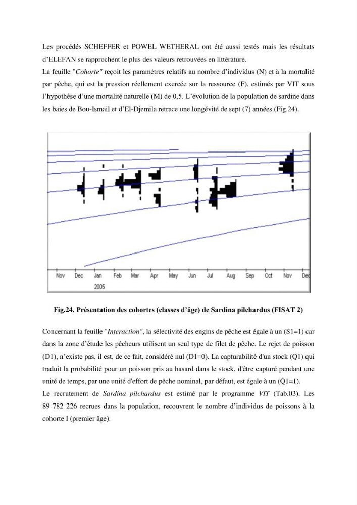 Economie des pêches