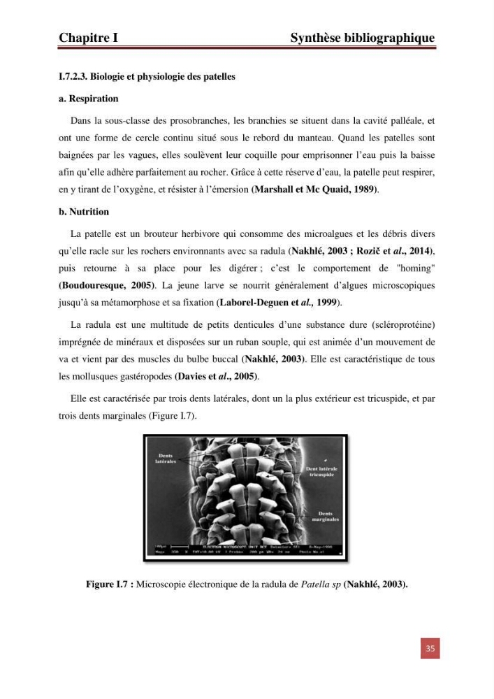 Evaluation du taux des hydrocarbures aromatiques polycycliques chez le mollusque Patella.sp et les moules du littoral Algérois