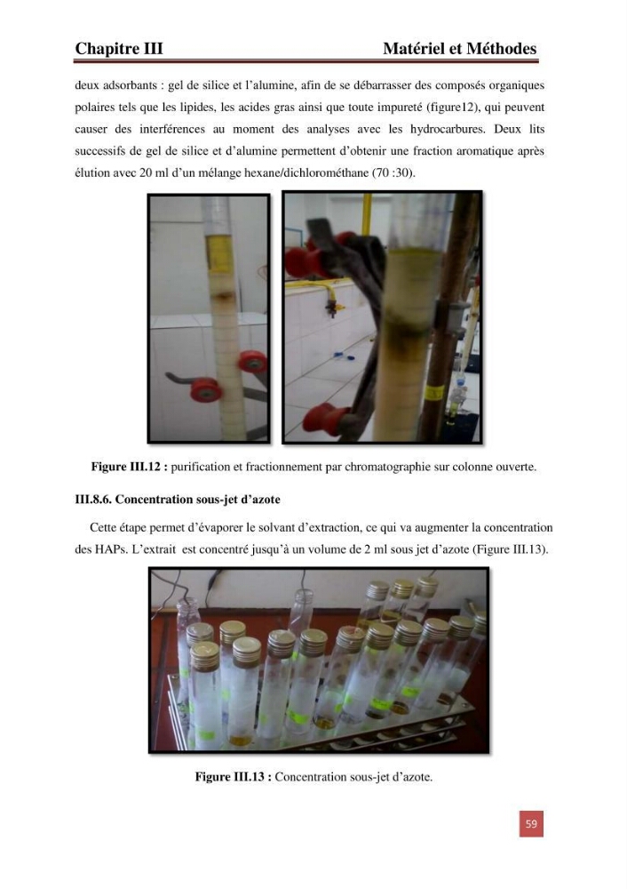 Evaluation du taux des hydrocarbures aromatiques polycycliques chez le mollusque Patella.sp et les moules du littoral Algérois