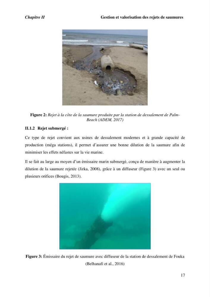 Caractérisation des rejets de saumure des stations de dessalement et leur impact sur le milieu récepteur:
