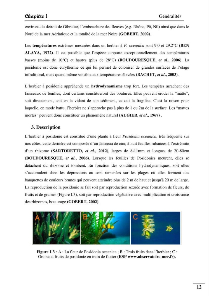 Contribution à l’étude de la pollution chimique et les paramètres vitaux de l’écosystème à Posidonia oceanica dans le front de mer de Bou- Ismail et de la Corne d’or de Tipaza.
