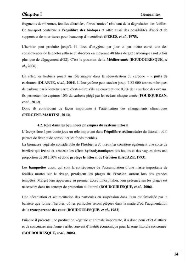 Contribution à l’étude de la pollution chimique et les paramètres vitaux de l’écosystème à Posidonia oceanica dans le front de mer de Bou- Ismail et de la Corne d’or de Tipaza.