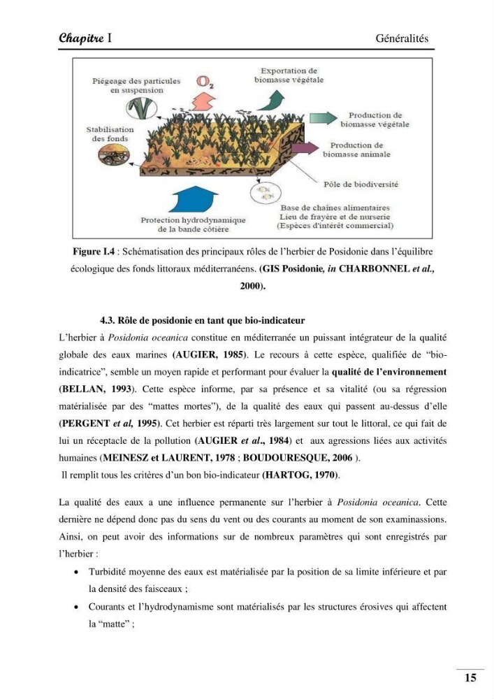 Contribution à l’étude de la pollution chimique et les paramètres vitaux de l’écosystème à Posidonia oceanica dans le front de mer de Bou- Ismail et de la Corne d’or de Tipaza.