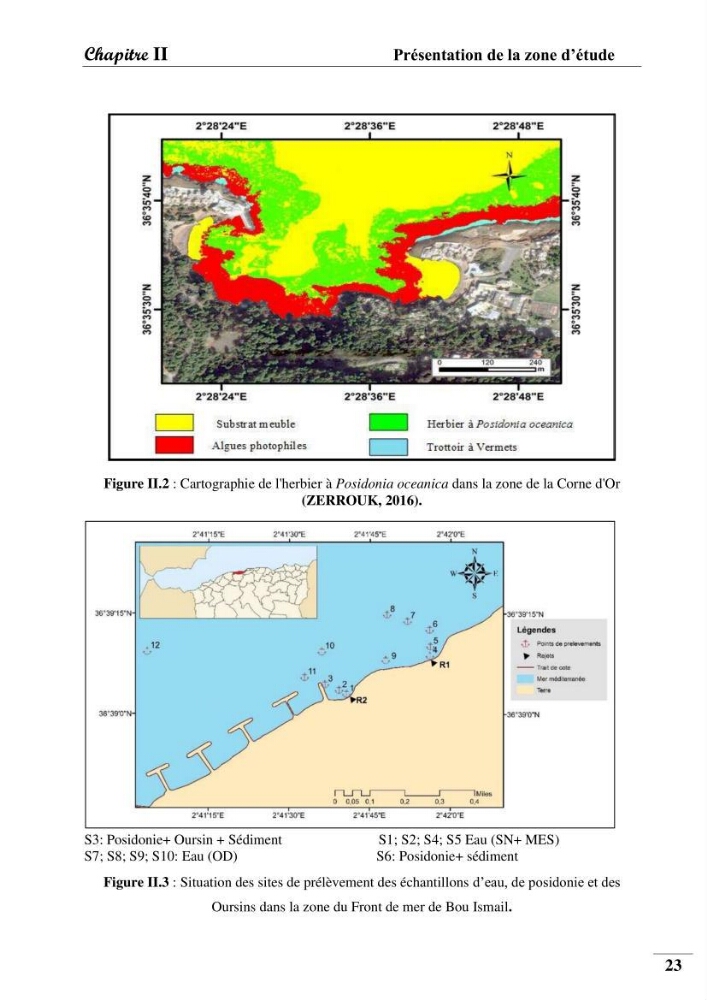 Contribution à l’étude de la pollution chimique et les paramètres vitaux de l’écosystème à Posidonia oceanica dans le front de mer de Bou- Ismail et de la Corne d’or de Tipaza.