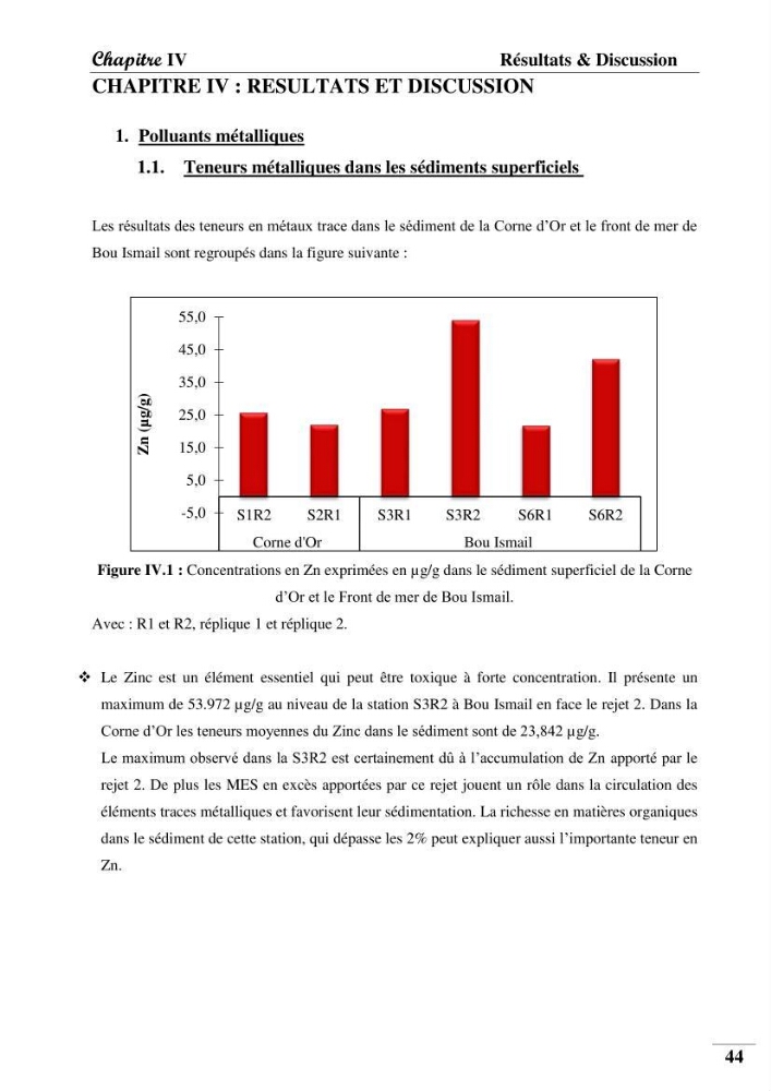 Contribution à l’étude de la pollution chimique et les paramètres vitaux de l’écosystème à Posidonia oceanica dans le front de mer de Bou- Ismail et de la Corne d’or de Tipaza.