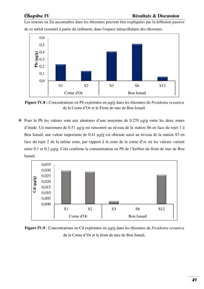 Contribution à l’étude de la pollution chimique et les paramètres vitaux de l’écosystème à Posidonia oceanica dans le front de mer de Bou- Ismail et de la Corne d’or de Tipaza.