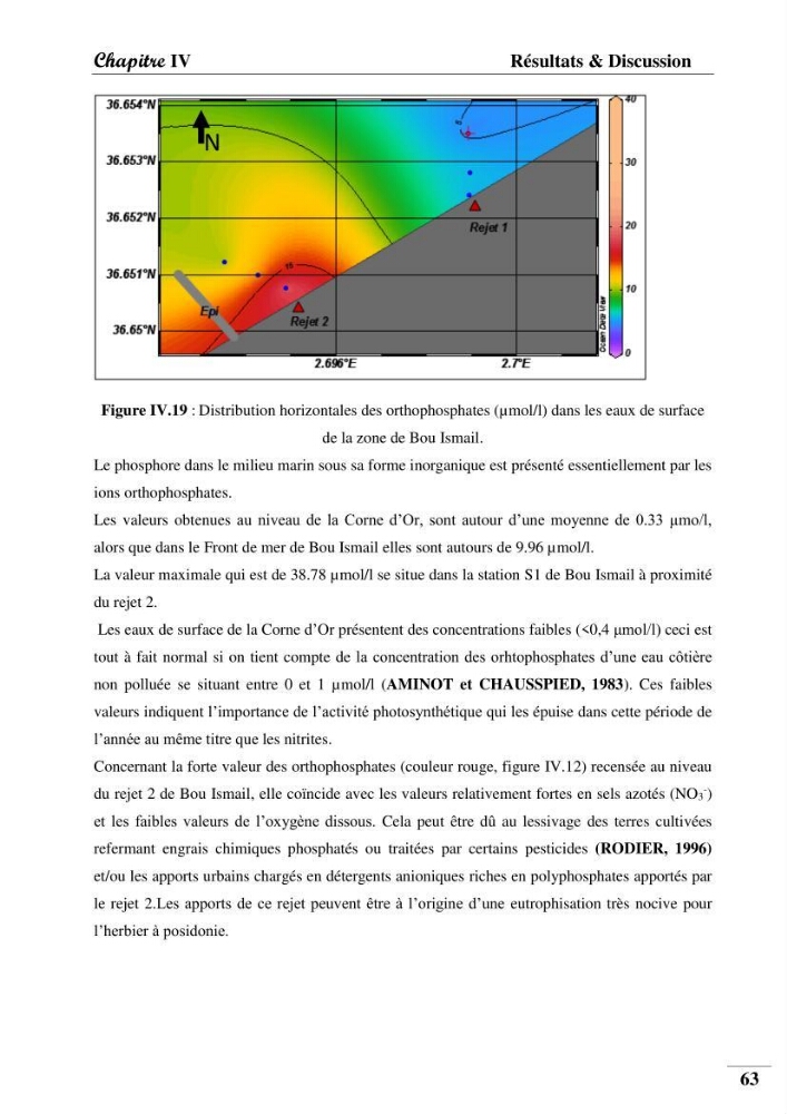 Contribution à l’étude de la pollution chimique et les paramètres vitaux de l’écosystème à Posidonia oceanica dans le front de mer de Bou- Ismail et de la Corne d’or de Tipaza.