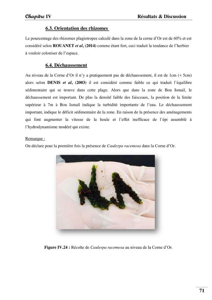Contribution à l’étude de la pollution chimique et les paramètres vitaux de l’écosystème à Posidonia oceanica dans le front de mer de Bou- Ismail et de la Corne d’or de Tipaza.