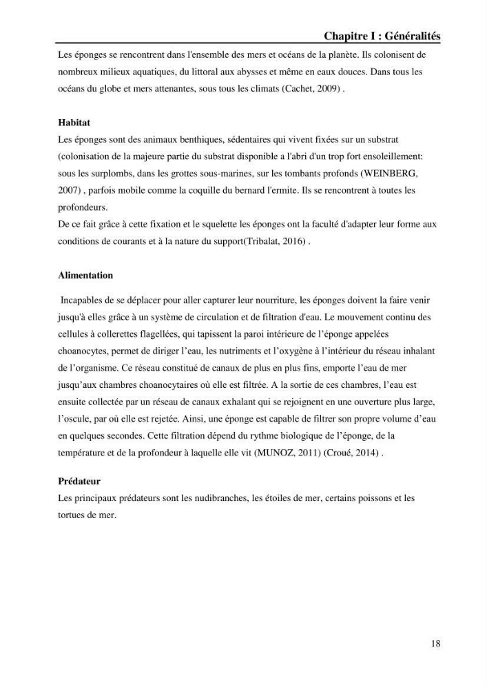 Extraction des métabolites secondaires de l\'éponge cultive Crambe Crambe