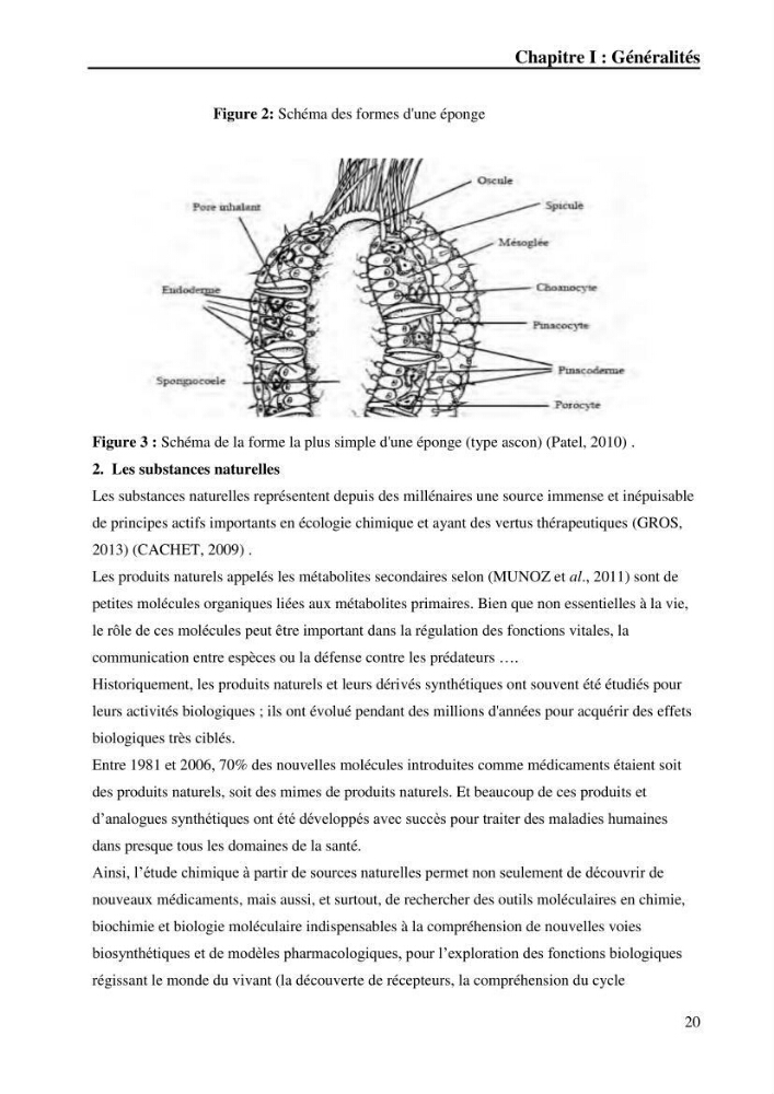 Extraction des métabolites secondaires de l\'éponge cultive Crambe Crambe
