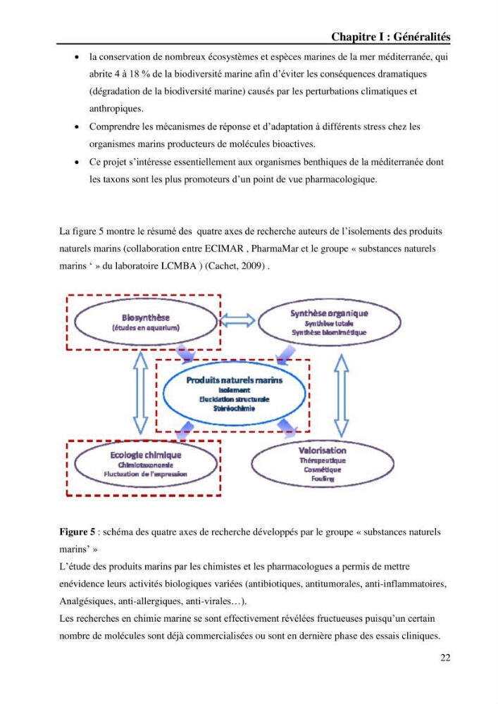 Extraction des métabolites secondaires de l\'éponge cultive Crambe Crambe