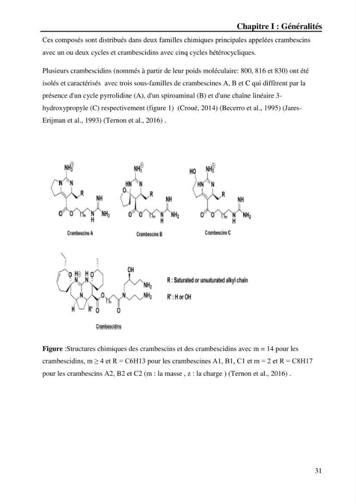Extraction des métabolites secondaires de l\'éponge cultive Crambe Crambe