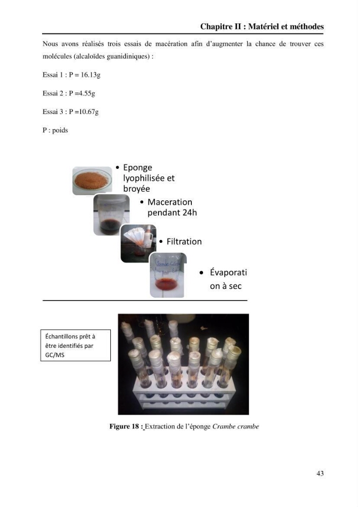 Extraction des métabolites secondaires de l\'éponge cultive Crambe Crambe