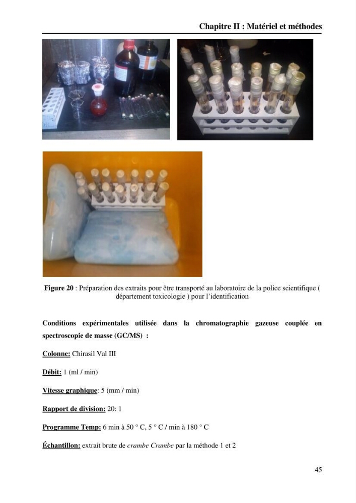 Extraction des métabolites secondaires de l\'éponge cultive Crambe Crambe