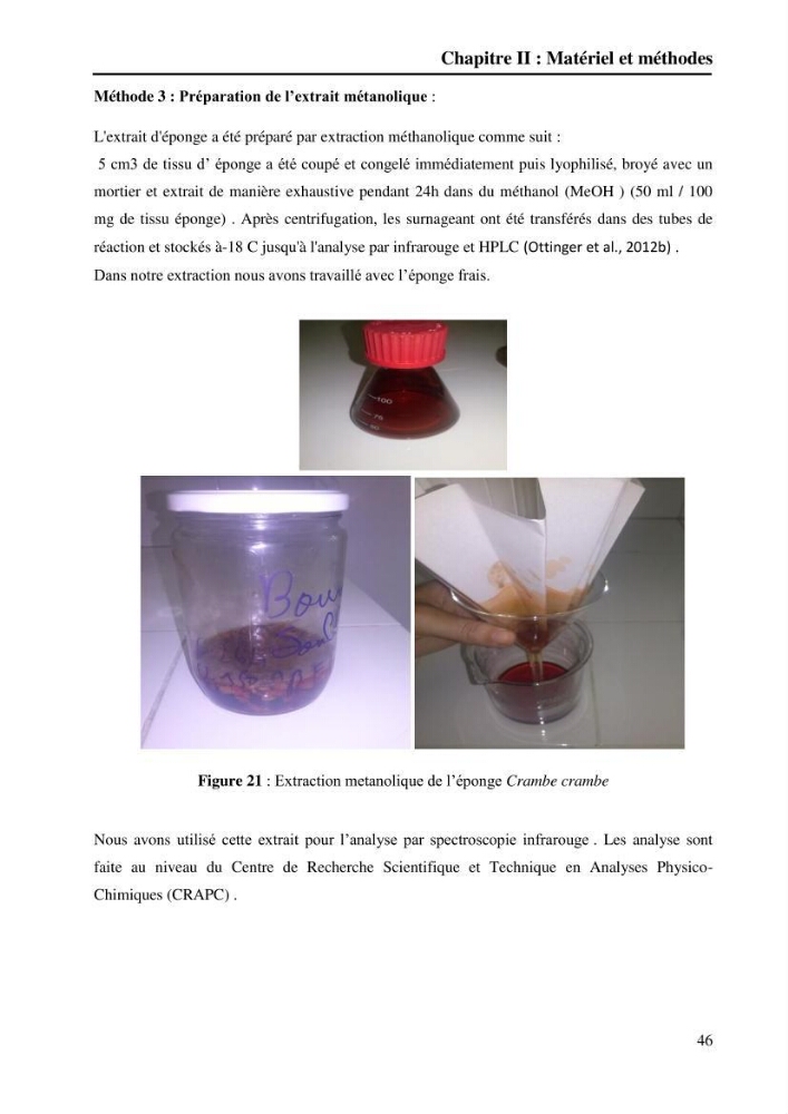 Extraction des métabolites secondaires de l\'éponge cultive Crambe Crambe