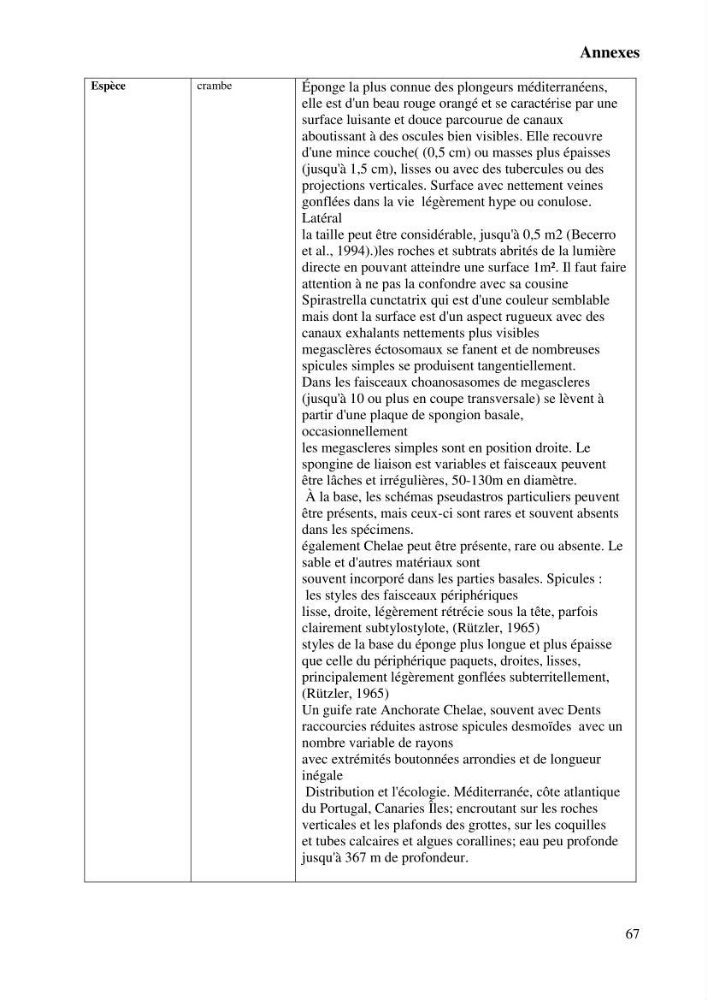 Extraction des métabolites secondaires de l\'éponge cultive Crambe Crambe