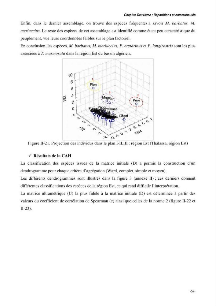 Comportement, Croissance et Exploitation de Torpedo marmorata Risso, 1810 (CHONDRICHTHYENS, TORPEDINIDAE) dans le bassin Algérien: