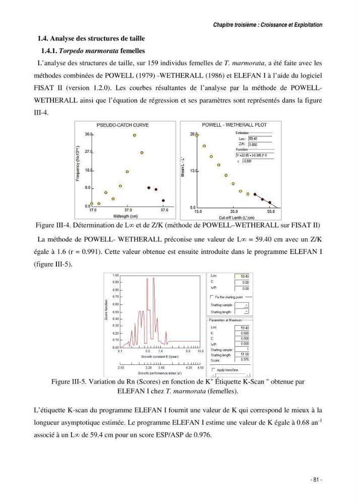 Comportement, Croissance et Exploitation de Torpedo marmorata Risso, 1810 (CHONDRICHTHYENS, TORPEDINIDAE) dans le bassin Algérien: