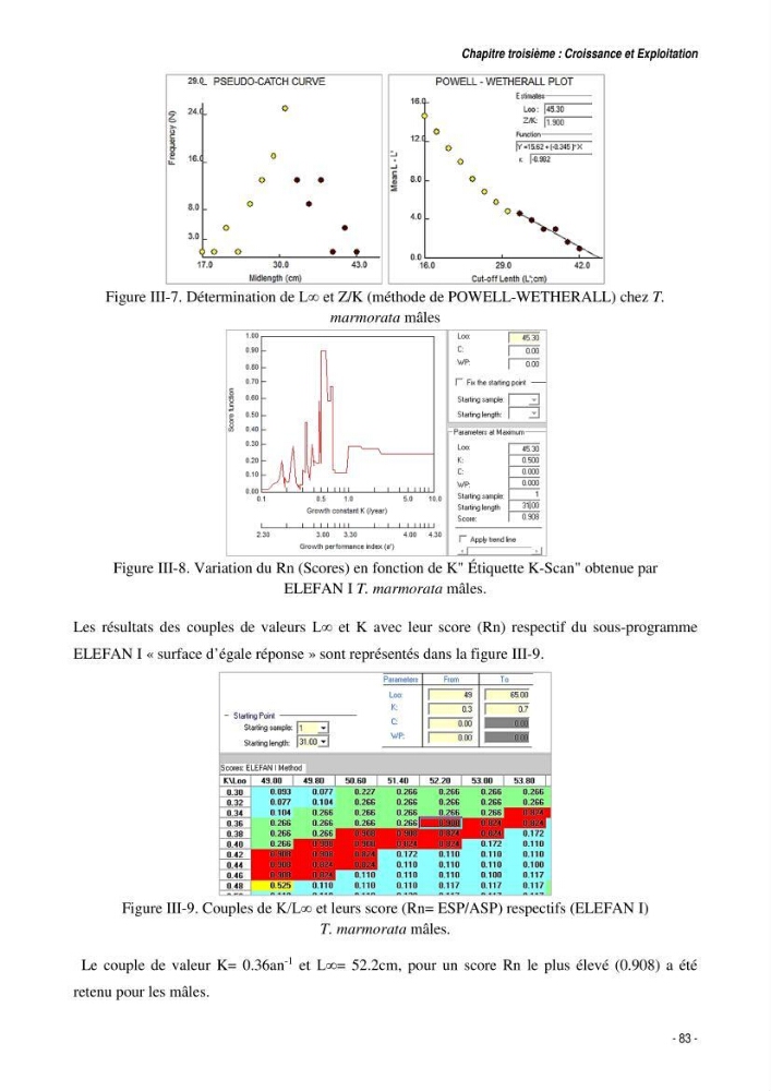 Comportement, Croissance et Exploitation de Torpedo marmorata Risso, 1810 (CHONDRICHTHYENS, TORPEDINIDAE) dans le bassin Algérien: