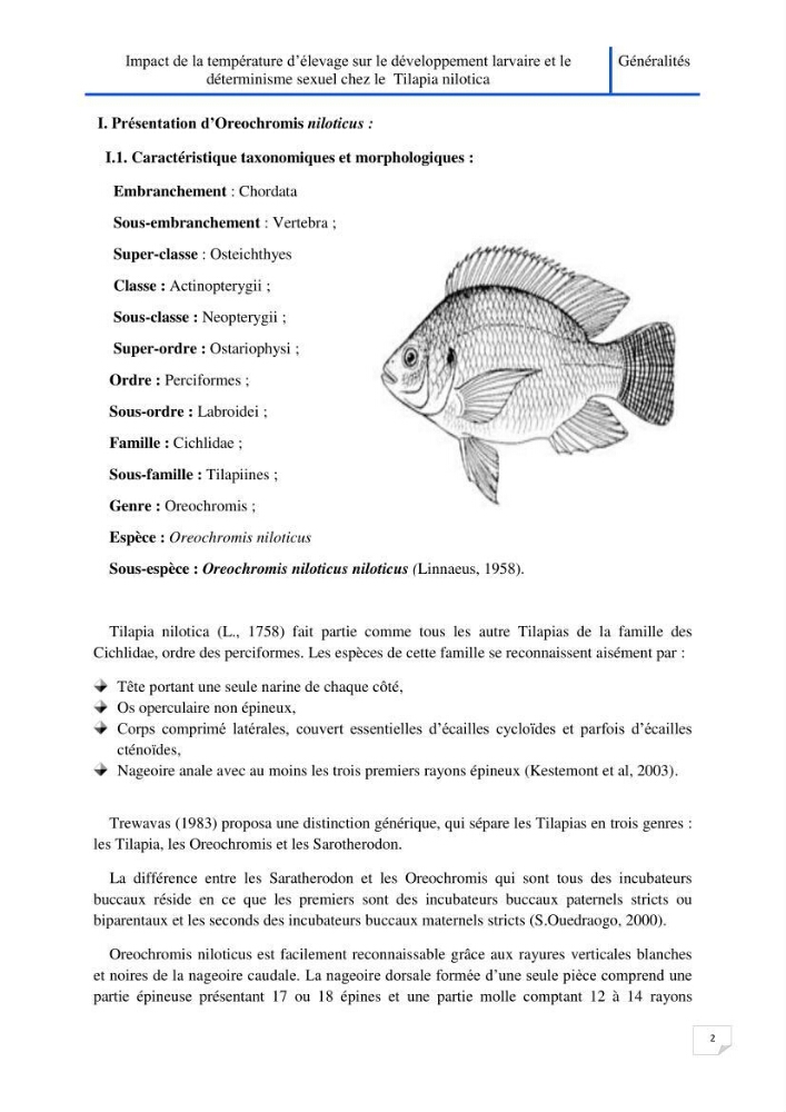 Impact de la température d\'élevage sur le développement larvaire et le determinisme sexuel d\'oreochromis niloticus:
