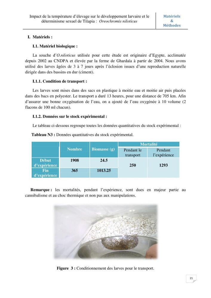 Impact de la température d\'élevage sur le développement larvaire et le determinisme sexuel d\'oreochromis niloticus: