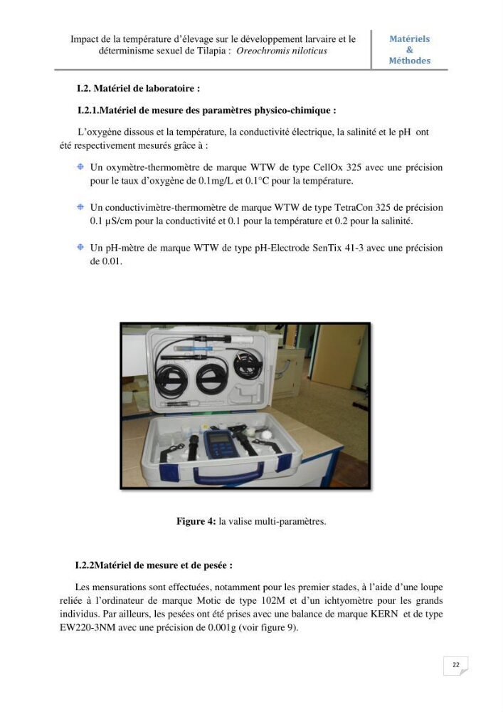 Impact de la température d\'élevage sur le développement larvaire et le determinisme sexuel d\'oreochromis niloticus: