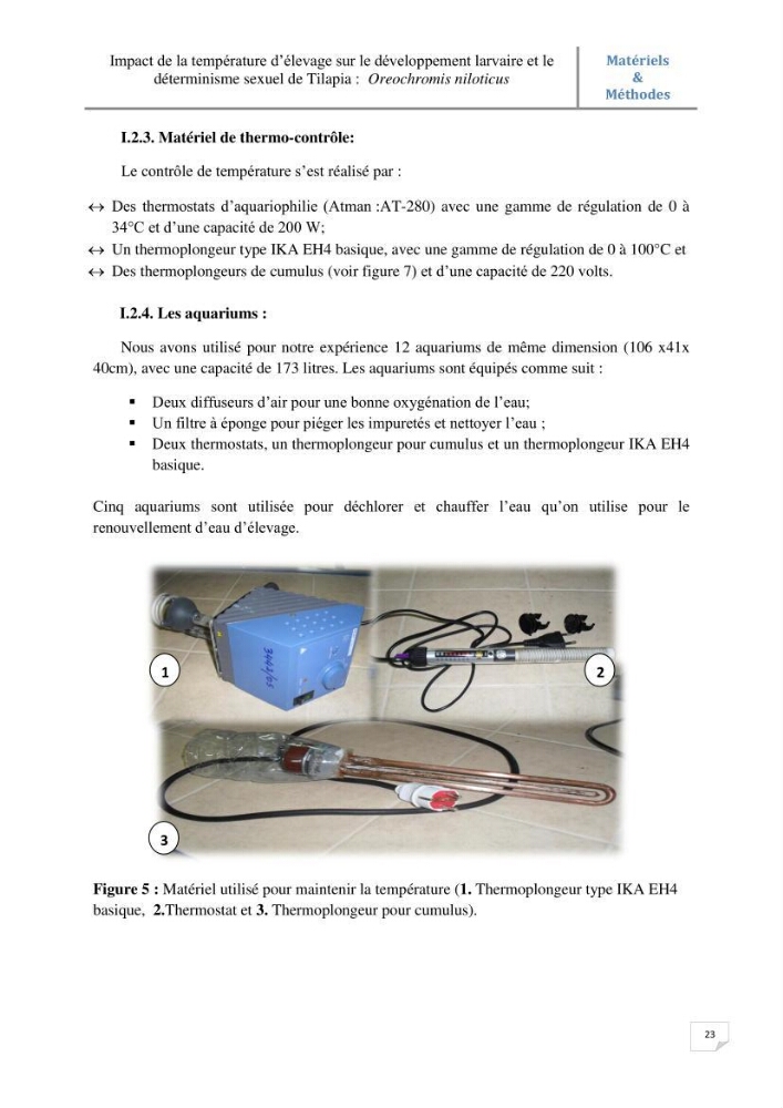 Impact de la température d\'élevage sur le développement larvaire et le determinisme sexuel d\'oreochromis niloticus: