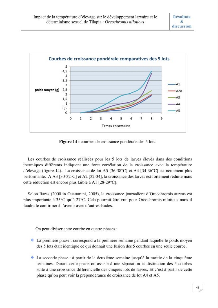Impact de la température d\'élevage sur le développement larvaire et le determinisme sexuel d\'oreochromis niloticus: