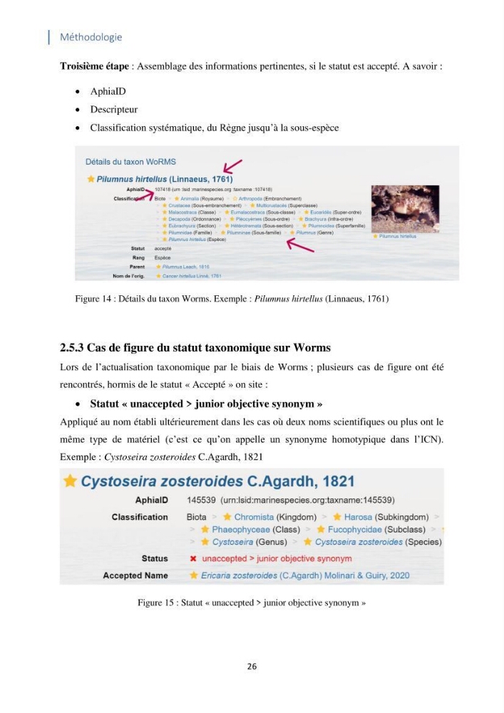 Faune et flore associées à l’écosystème à coralligène de la côte algérienne