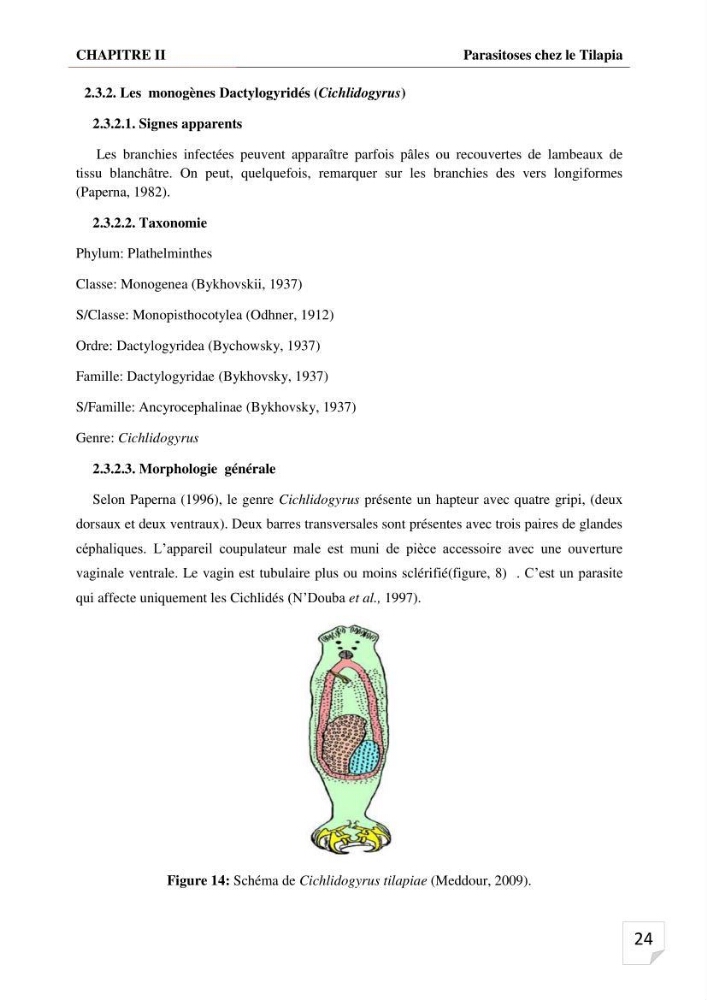 Inventaire des parasites en Tilapiculture dans le sud de l\'Algerie