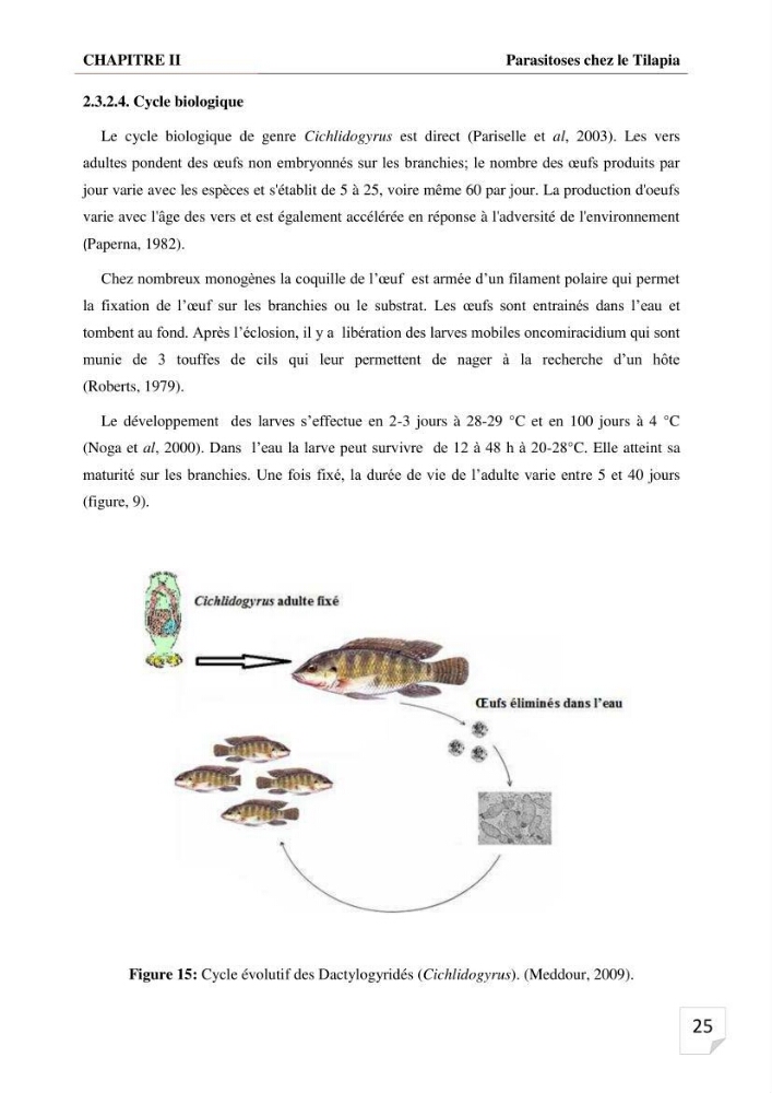 Inventaire des parasites en Tilapiculture dans le sud de l\'Algerie