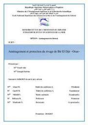 Aménagement et protection du rivage de Bir El djir-Oran
