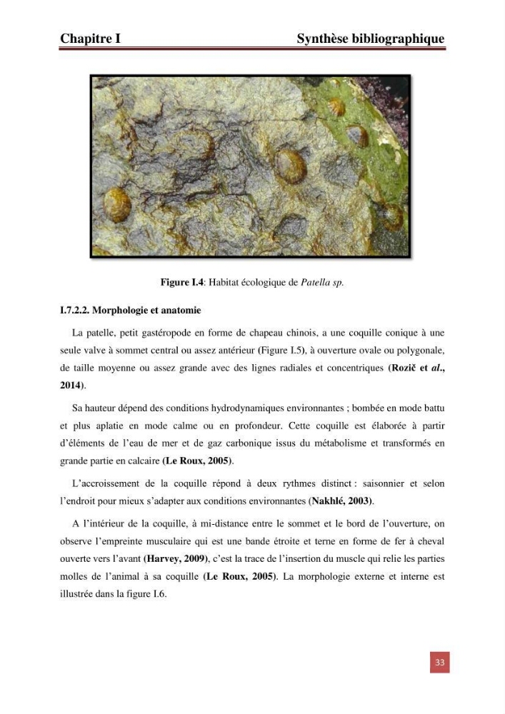 Evaluation du taux des hydrocarbures aromatiques polycycliques chez le mollusque Patella.sp et les moules du littoral Algérois