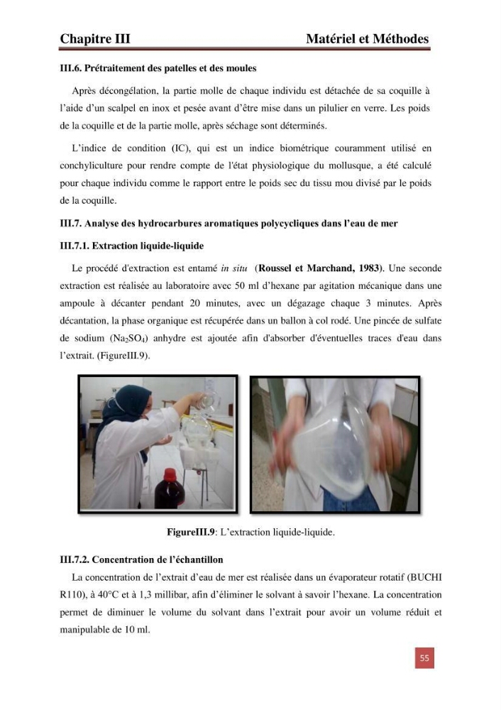 Evaluation du taux des hydrocarbures aromatiques polycycliques chez le mollusque Patella.sp et les moules du littoral Algérois