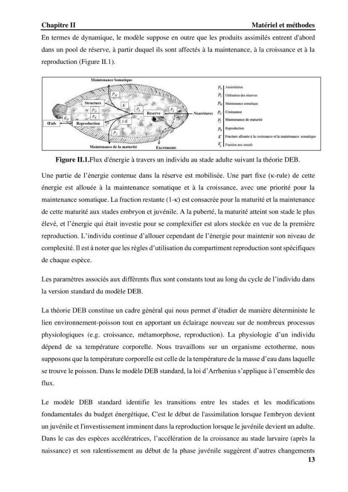 Effet de la température du milieu sur la reproduction et la croissance de Pegusa Lascaris ( Risso,1810) des eaux centre algérienne selon la théorie DEB