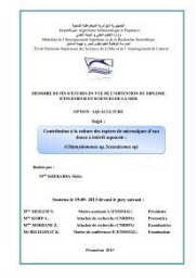 Contribution à la culture des espèces de microalgues d'eau douce à intérêt aquacole: Chlamydomonas sp, Scenedesmus sp