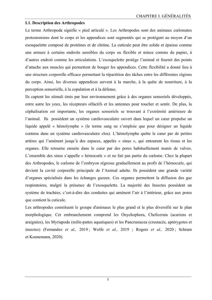 Contribution à l’inventaire des crevettes (Crustacea, Decapoda) dans la région centre du bassin Algérien: